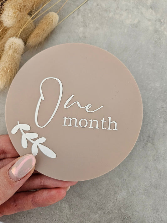 Baby milestone acrylic discs